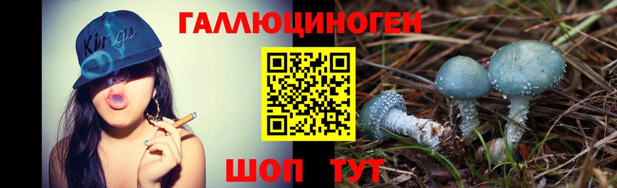 магазин  наркотиков  Псилоцибиновые грибы прущие грибы  Снежинск  Вход с VPN  Псилоцибиновые грибы Cubensis 